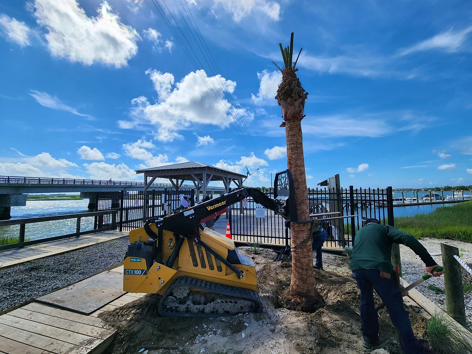 Crew setting a mature palm with a skid steer at a waterfront Charleston property