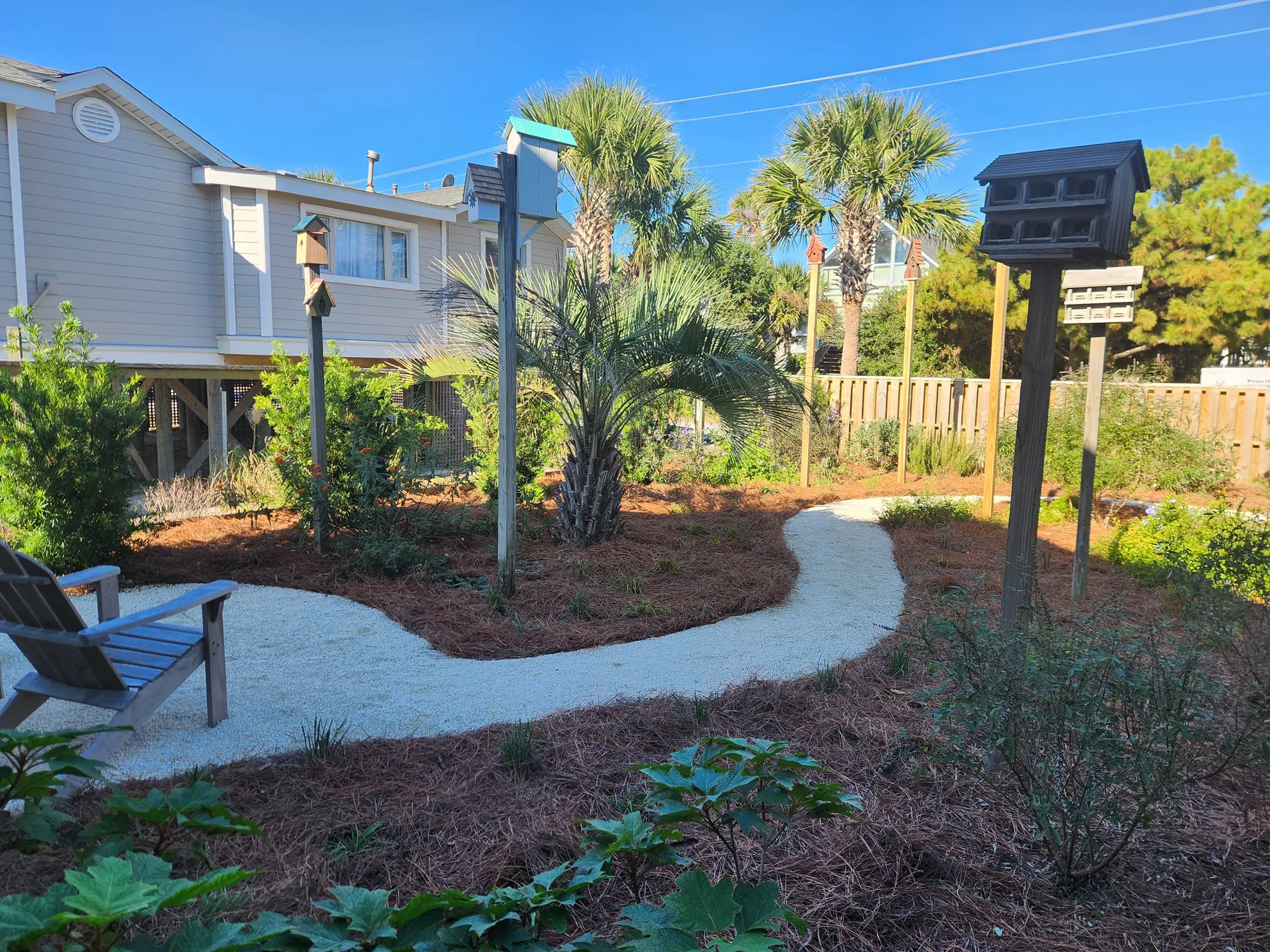 Garden path with palms and layered planting beds at a Charleston property