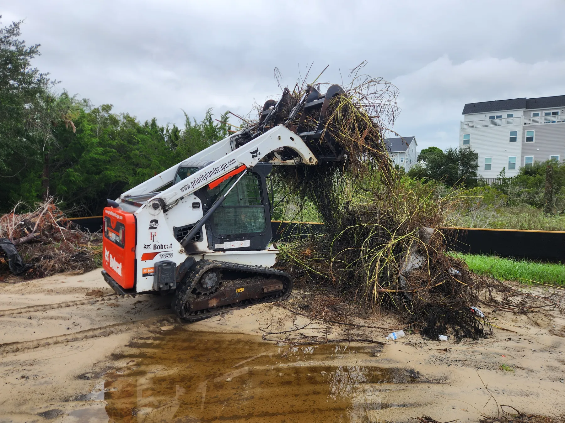 Skid steer moving a large root ball and debris from a Charleston jobsite