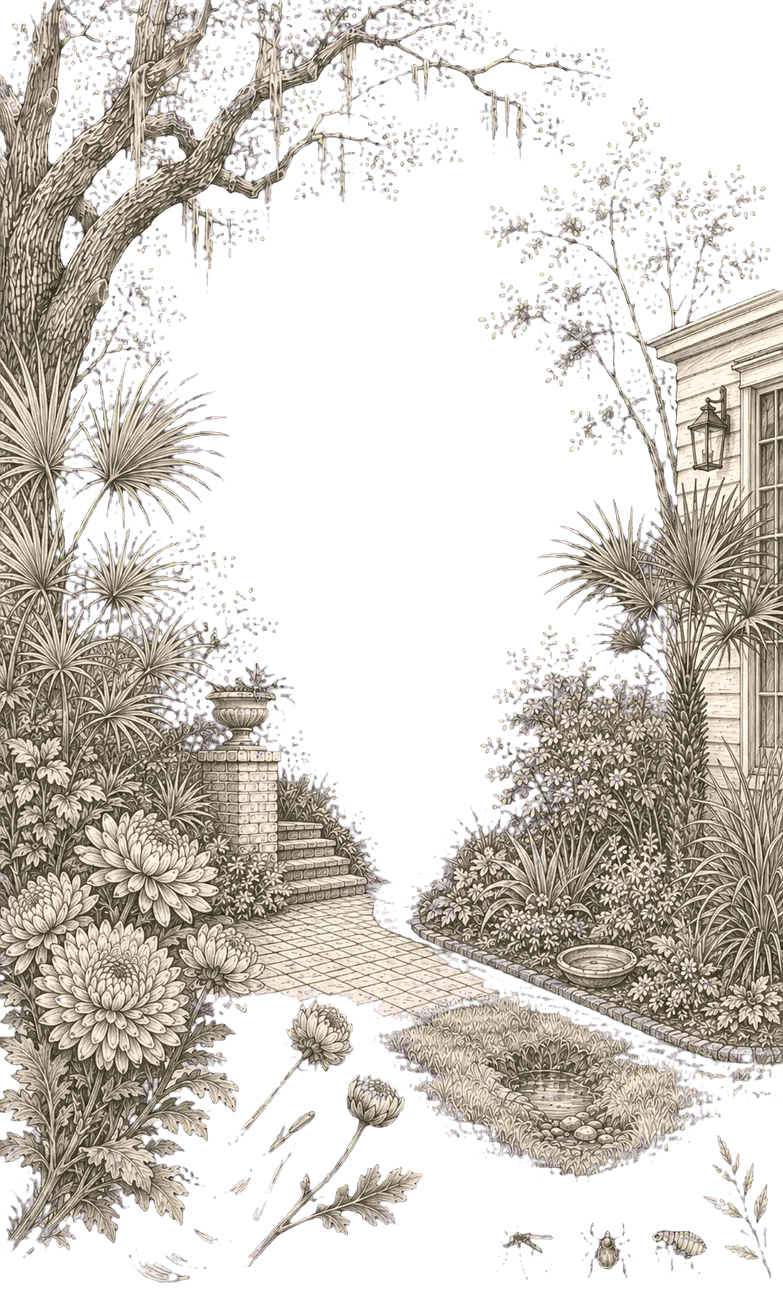 Drawing of a Charleston garden showing the shaded beds, low plantings and standing-water areas where mosquitoes, ticks and fleas gather