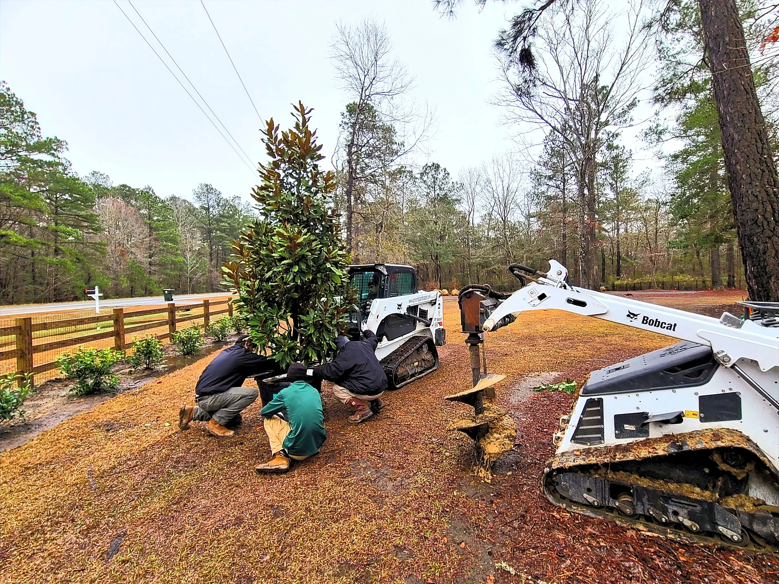 Two Priority Landscaping crew members planting trees with a compact track loader